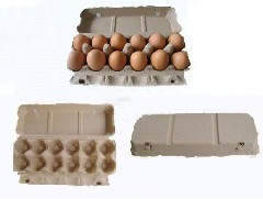 江门鸡蛋托有哪些类型